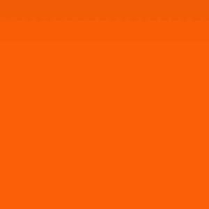 Meet your Posher, Kyra